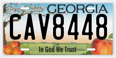 GA license plate CAV8448