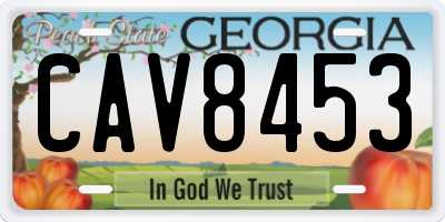 GA license plate CAV8453