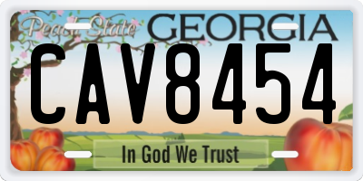 GA license plate CAV8454