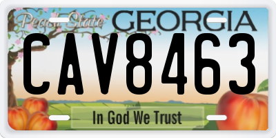 GA license plate CAV8463