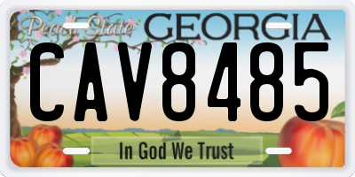 GA license plate CAV8485