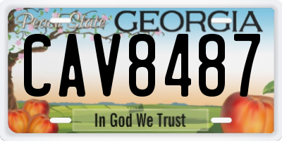 GA license plate CAV8487