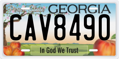 GA license plate CAV8490
