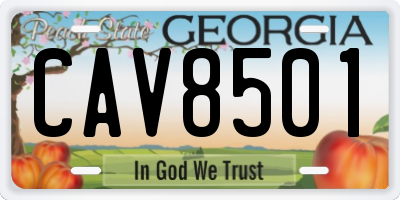 GA license plate CAV8501