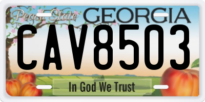 GA license plate CAV8503