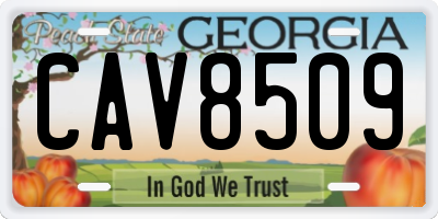 GA license plate CAV8509