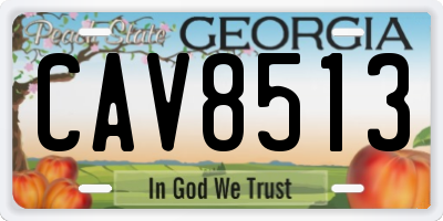 GA license plate CAV8513