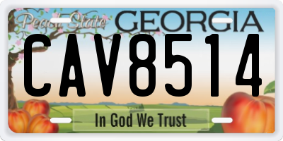 GA license plate CAV8514