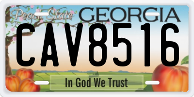 GA license plate CAV8516