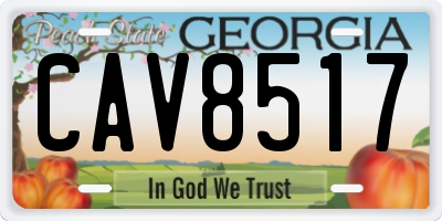 GA license plate CAV8517