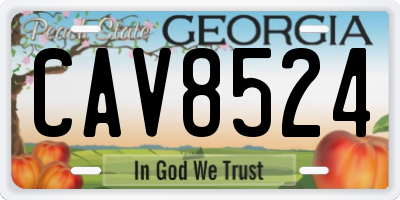 GA license plate CAV8524