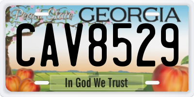 GA license plate CAV8529