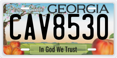 GA license plate CAV8530