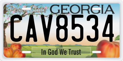 GA license plate CAV8534