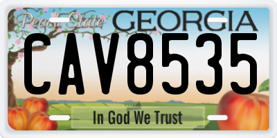 GA license plate CAV8535