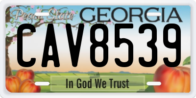 GA license plate CAV8539