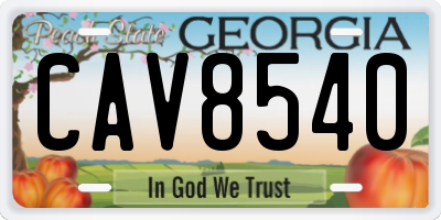 GA license plate CAV8540