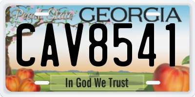 GA license plate CAV8541