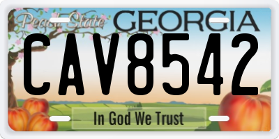 GA license plate CAV8542