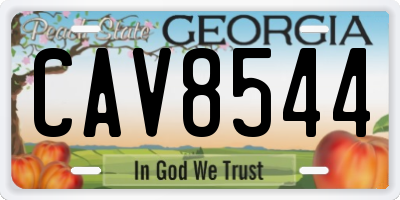 GA license plate CAV8544