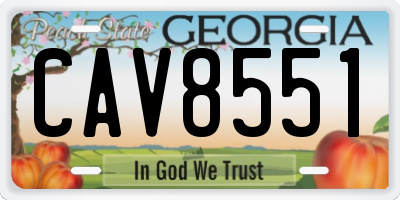 GA license plate CAV8551