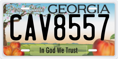 GA license plate CAV8557