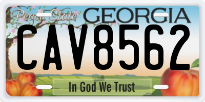 GA license plate CAV8562