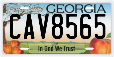 GA license plate CAV8565