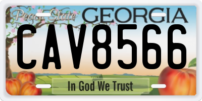 GA license plate CAV8566