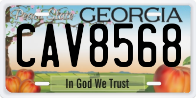 GA license plate CAV8568