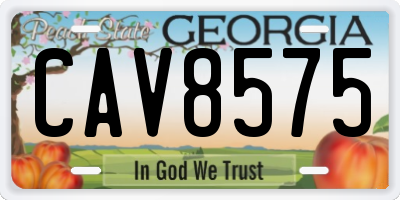 GA license plate CAV8575