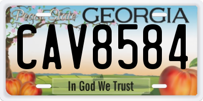 GA license plate CAV8584