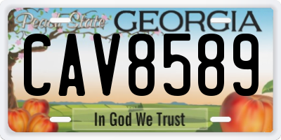 GA license plate CAV8589