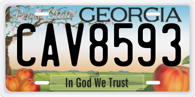 GA license plate CAV8593