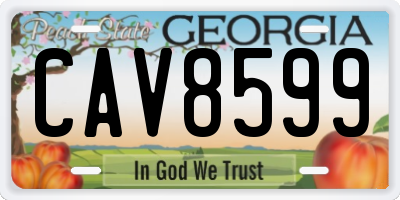 GA license plate CAV8599