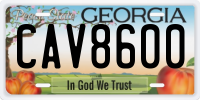 GA license plate CAV8600