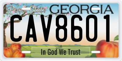 GA license plate CAV8601