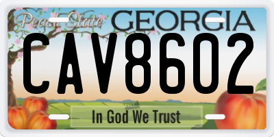 GA license plate CAV8602