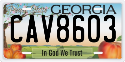 GA license plate CAV8603