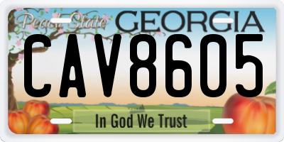 GA license plate CAV8605