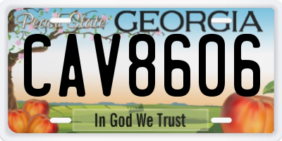 GA license plate CAV8606