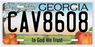 GA license plate CAV8608