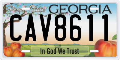 GA license plate CAV8611