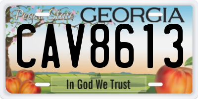 GA license plate CAV8613