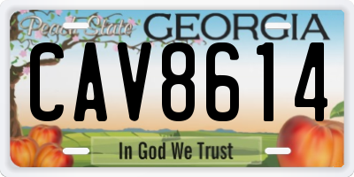 GA license plate CAV8614