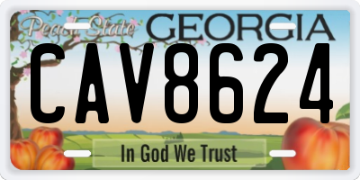 GA license plate CAV8624