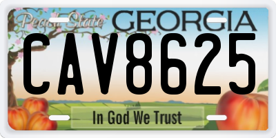 GA license plate CAV8625