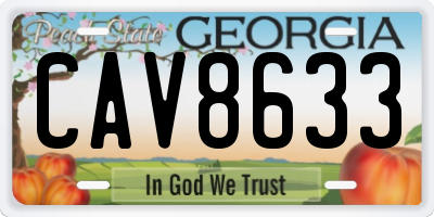 GA license plate CAV8633