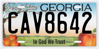 GA license plate CAV8642