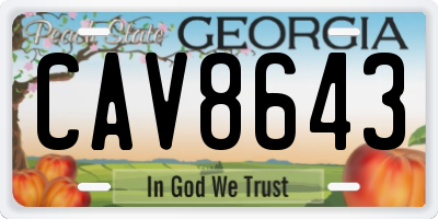 GA license plate CAV8643